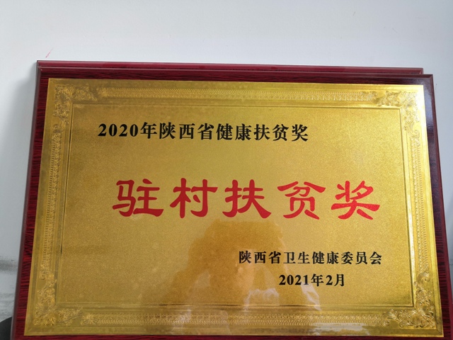 2020年全省健康扶贫驻村扶贫奖